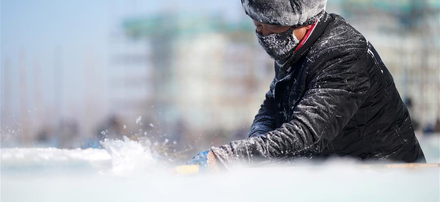 12月16日，在哈尔滨冰雪大世界园区，工人在进行冰建施工作业。当日，哈尔滨市最低气温达到零下20摄氏度以下。 近日，伴着寒潮到来，多地迎来入冬以来最寒冷天气，一些劳动者在凛冽寒风中依然坚守岗位。