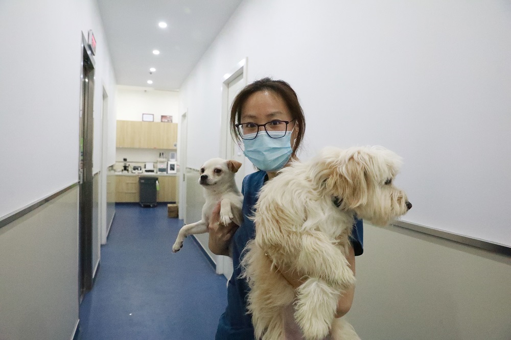 5月9日，在上海市黄浦区青莲街的宠物医院内，虞喆抱着宠物狗。图片来源：中国日报 记者朱兴鑫 摄
